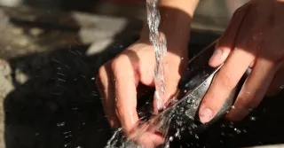 Imagem da notícia Lavar a louça ajuda a diminuir o estresse e possui benefícios semelhantes à meditação, diz estudo 
